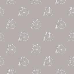 Bicycle - tortora