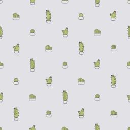 Cactus – seta