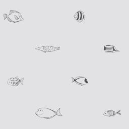 Fish – seta